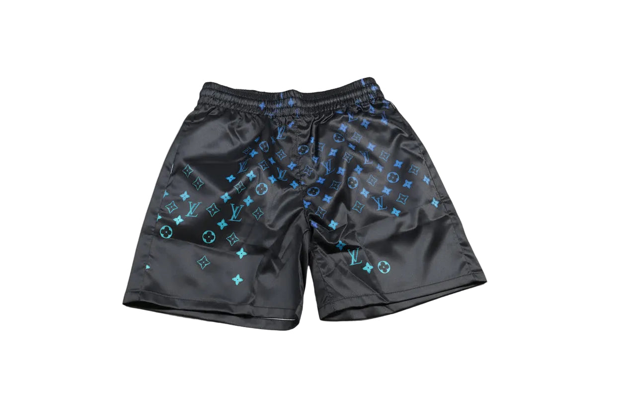 Brand New Louis Vuitton