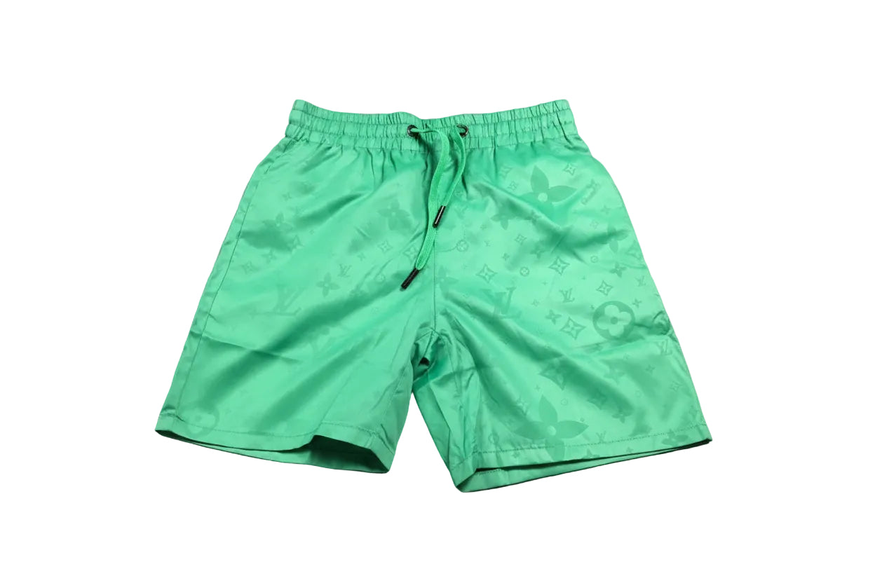 Brand New Louis Vuitton