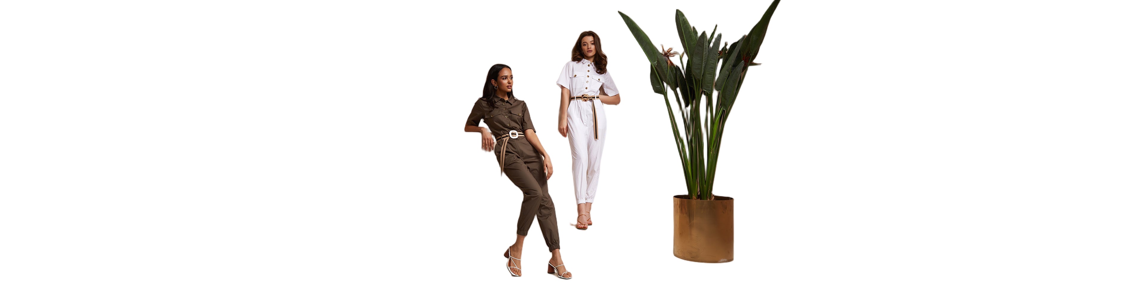 Home Page Banner Image